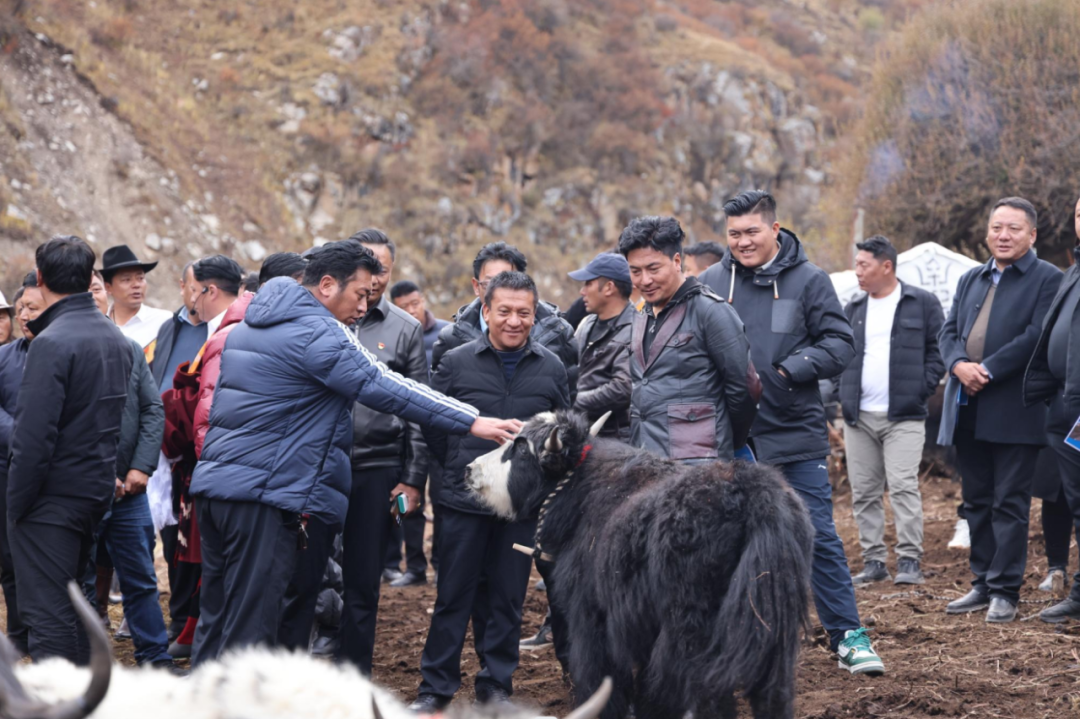 观摩学习拓思路 交流互鉴促提升——玉树市乡镇街道基层工作观摩活动综述