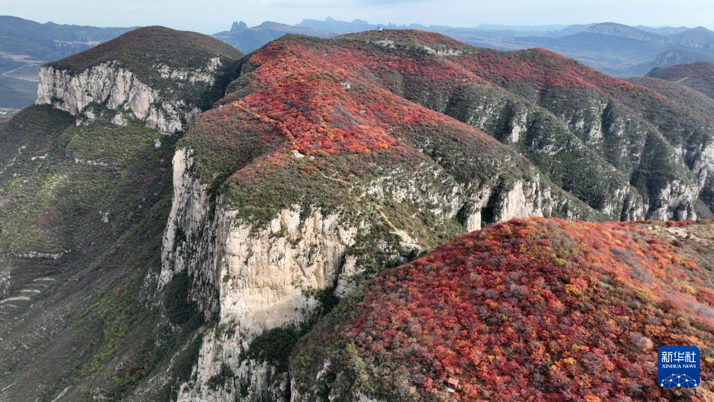 美丽中国丨河北邢台：太行红叶醉晚秋