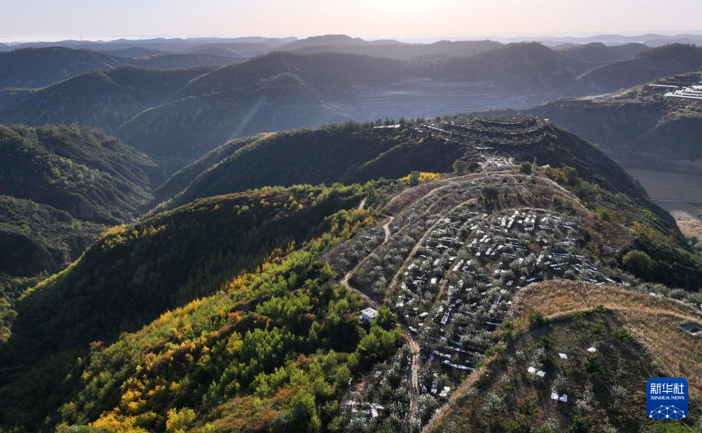 四季中国丨秋访南沟村