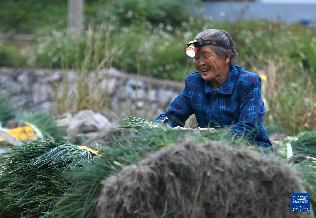 可爱的乡村——觉山村的清晨