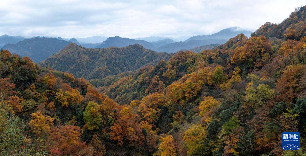 四川：层林尽染光雾山