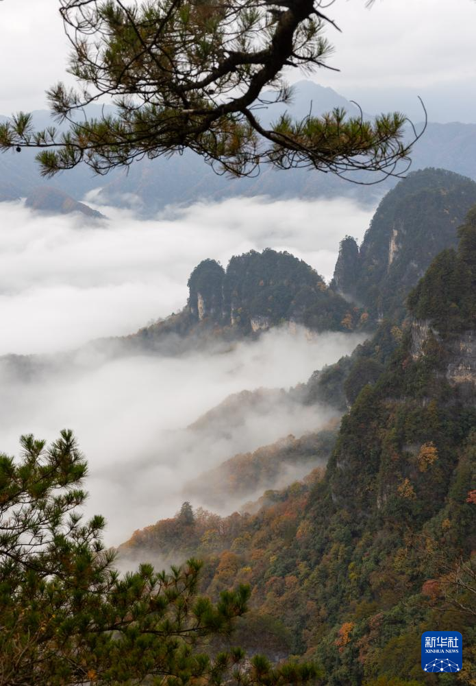 四川：层林尽染光雾山