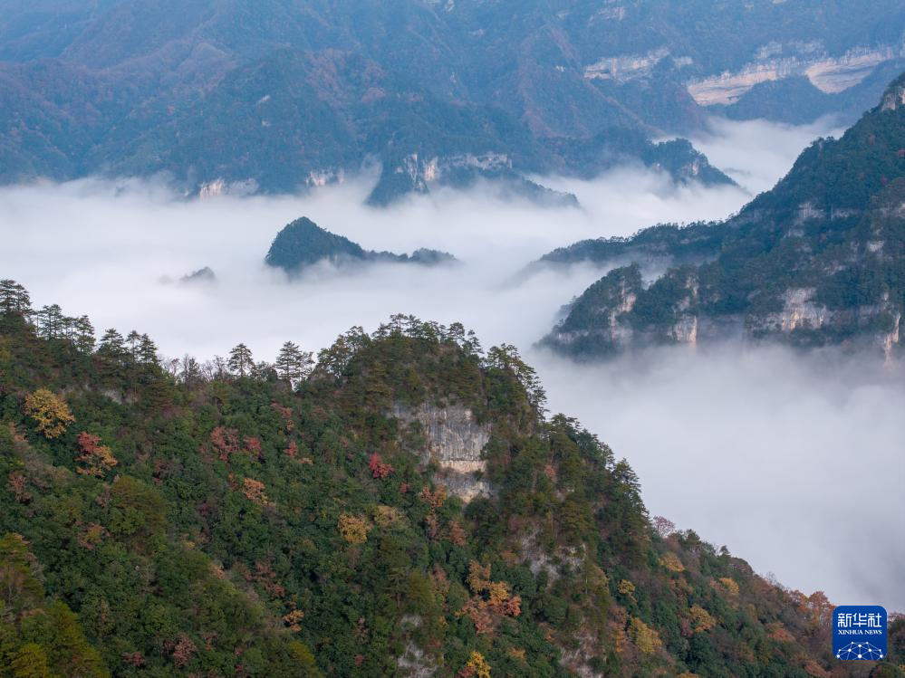 四川：层林尽染光雾山