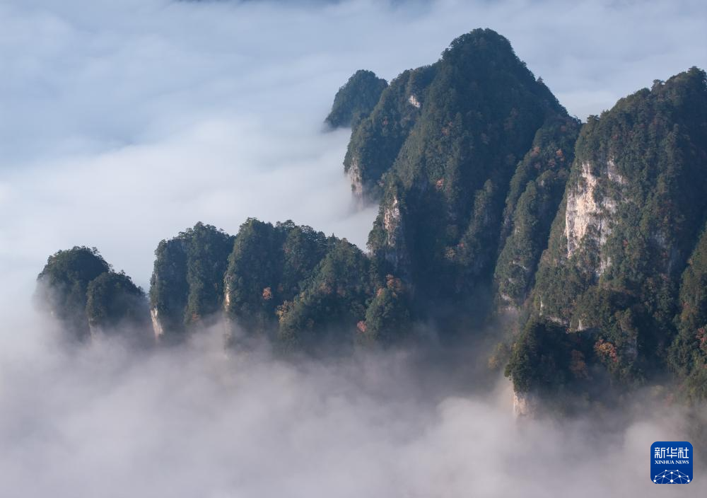 四川：层林尽染光雾山