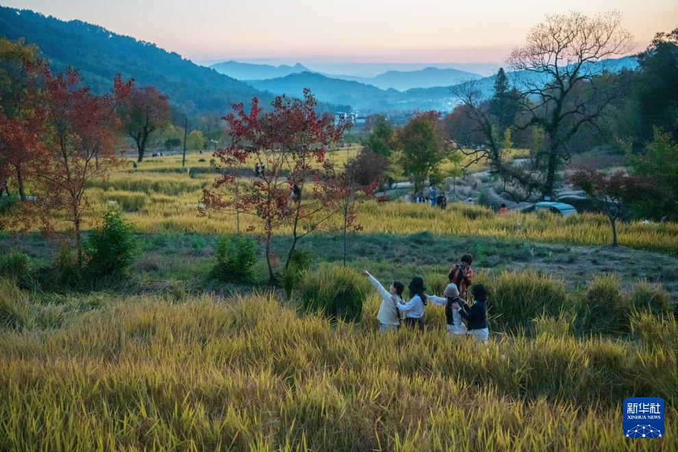 高质量发展调研行丨安徽黟县：风景如画 文旅焕新