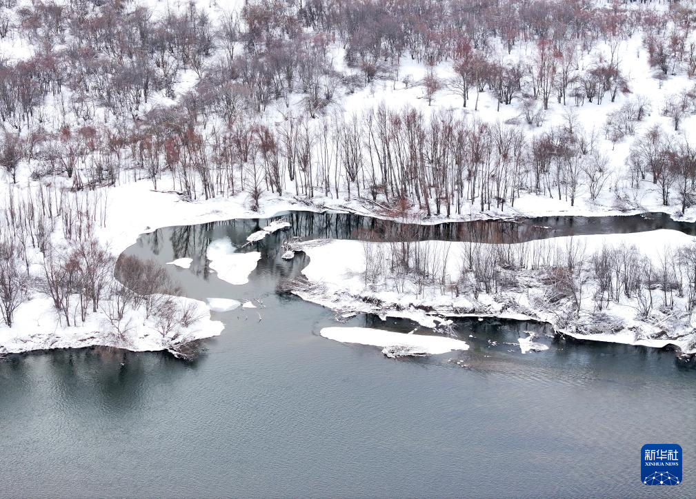 美丽中国丨雪后的额尔古纳湿地