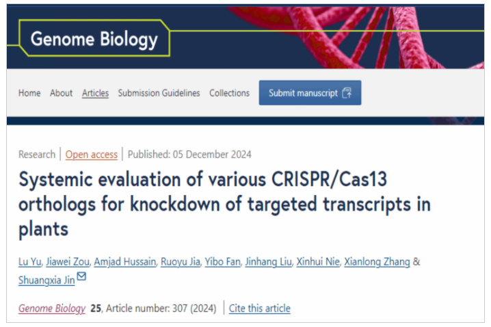 华中农业大学棉花团队开发出CRISPR/Cas13基因编辑新工具