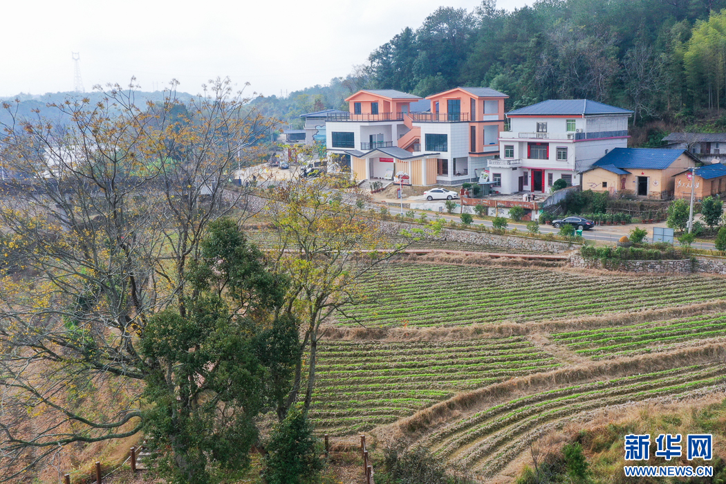 “飞阅”中国｜福建长汀：绿水青山带笑颜