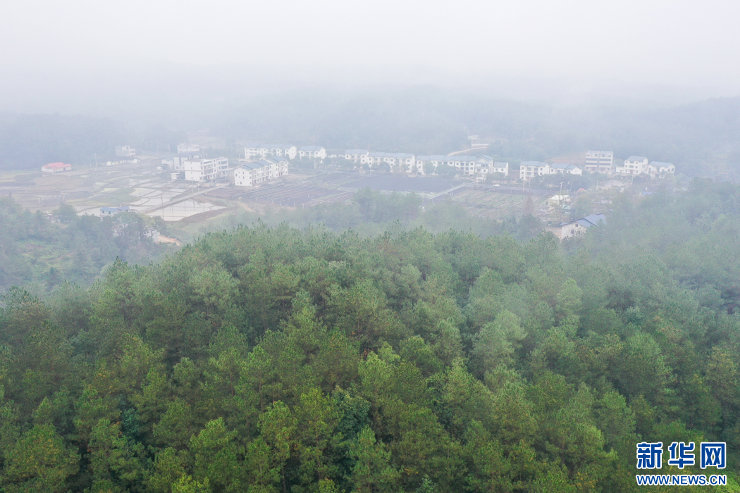 “飞阅”中国｜福建长汀：绿水青山带笑颜