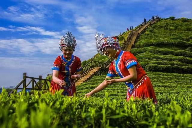 遇见非遗：湖北武陵山区融入人间烟火的活态传承