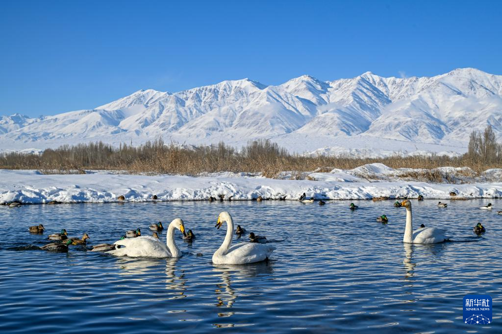 新疆温泉： 冰雪与温泉的邂逅