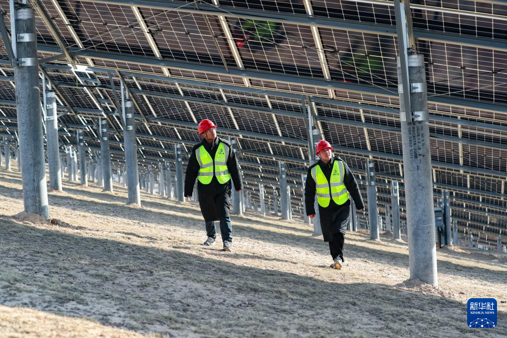 “陇电入鲁”配套600万千瓦新能源示范项目加速建设