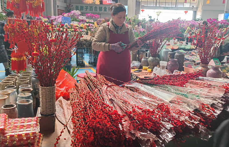 年宵花“花式”上新 哪种花是“春节气氛组”新宠？