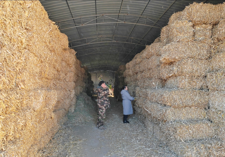 内蒙古鄂托克旗：“暖”措施应对寒潮 确保农牧业安全生产