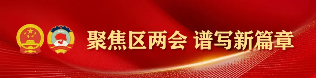 聚焦两会丨2025年大渡口区政府工作报告