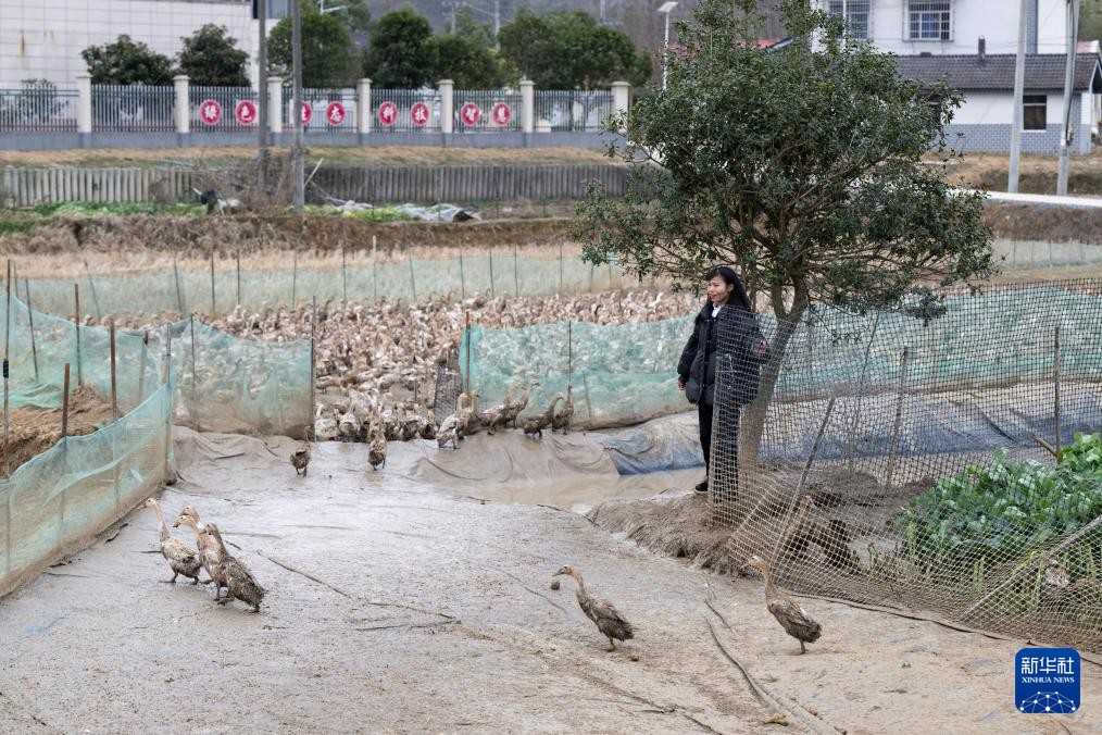 我的履职关键词｜全国人大代表田淑娴：兴农一线看科技