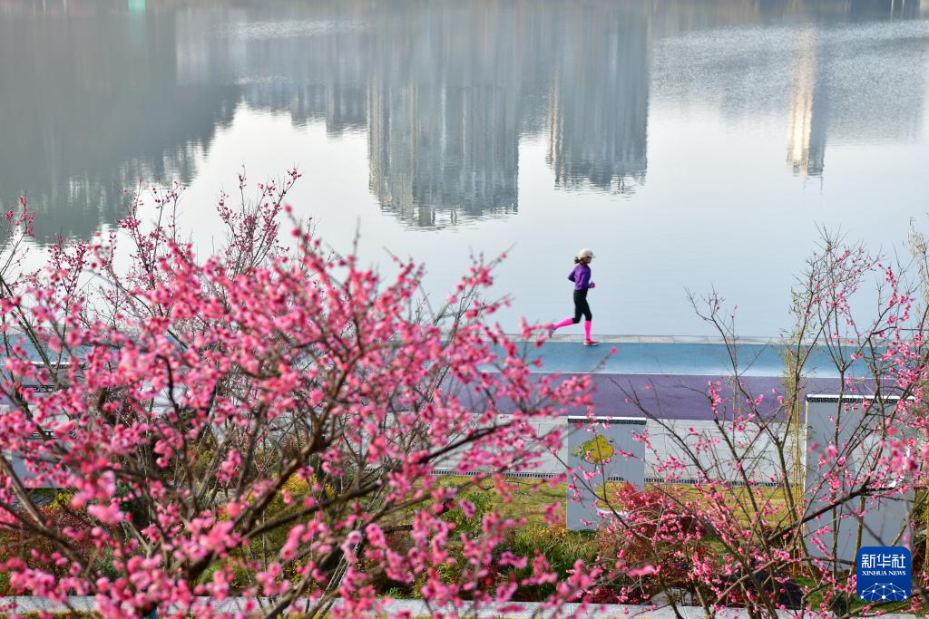 诗意中国丨莺鸣一两啭，花树数重开