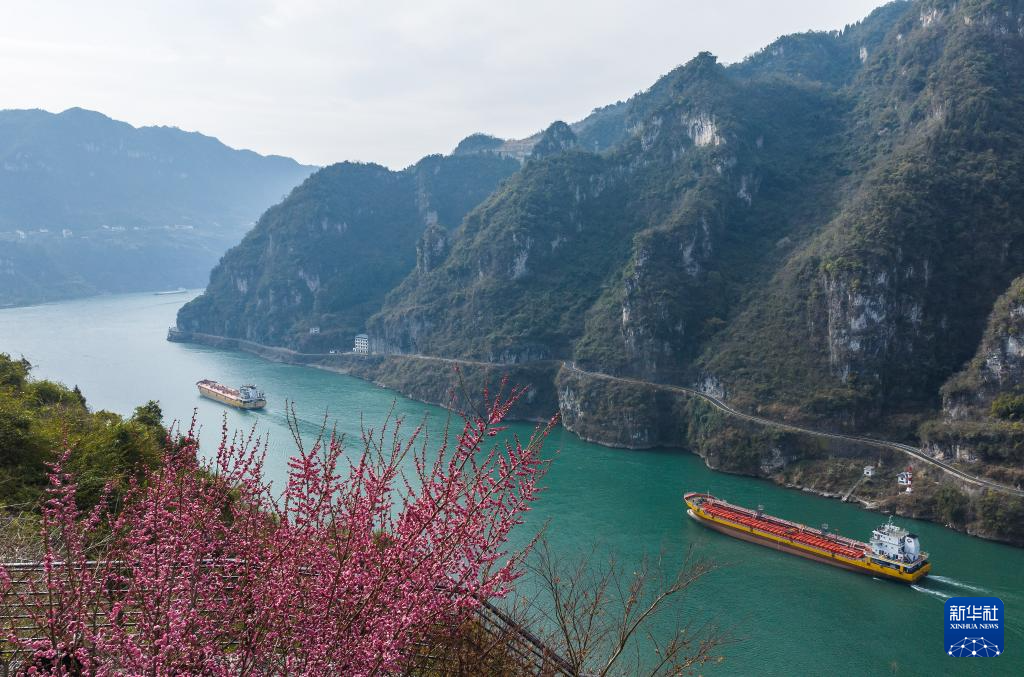 诗意中国丨莺鸣一两啭，花树数重开