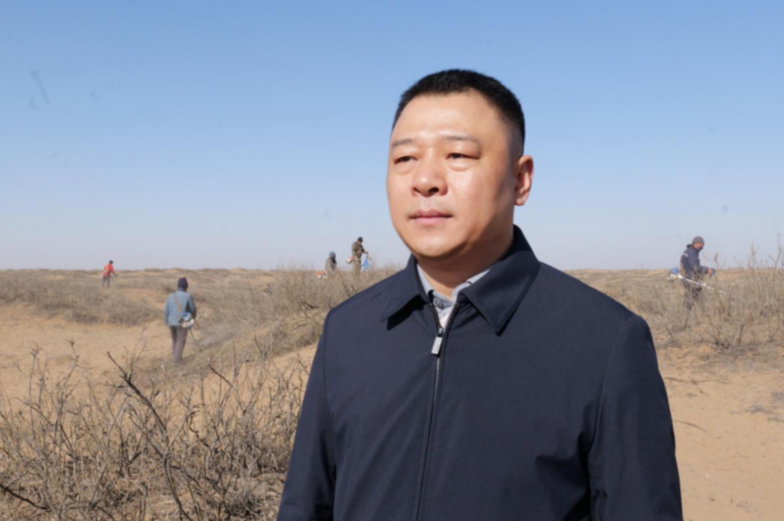 内蒙古鄂托克旗：灌木平茬，为生态颜值“加分” 为经济效益“助攻”
