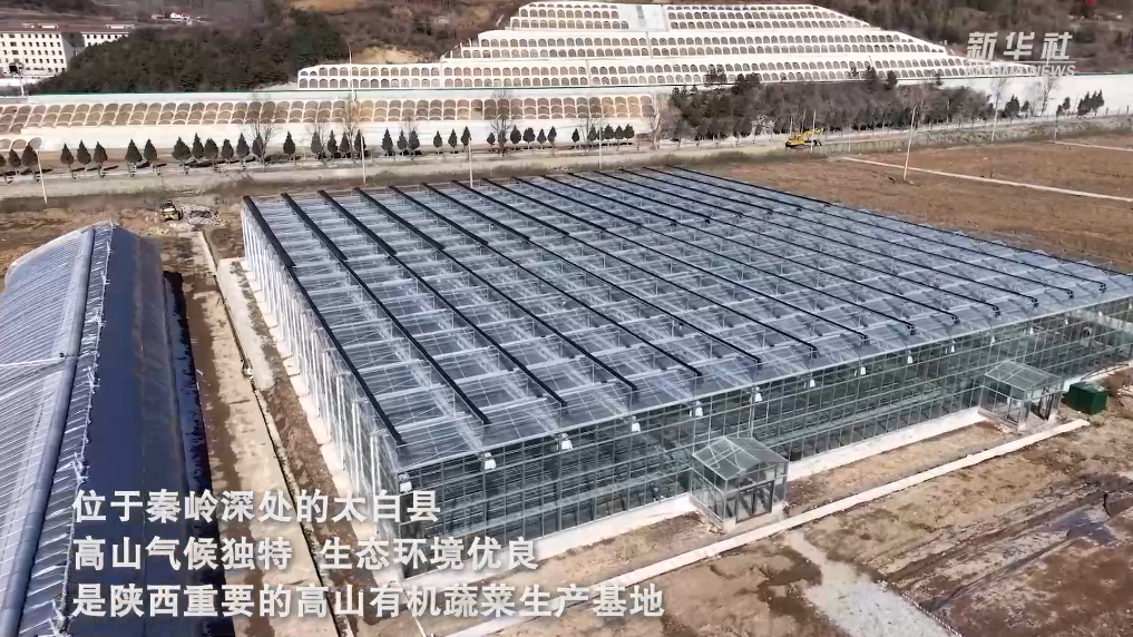 陕西太白县：高山蔬菜育苗忙