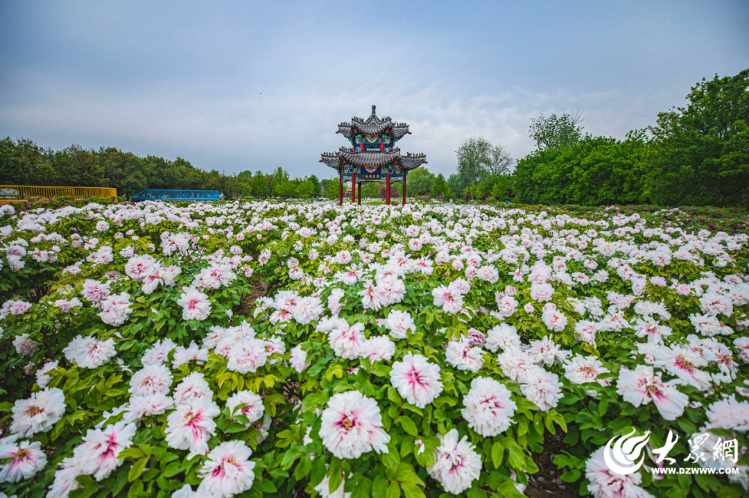 菏泽，向全世界发出邀请！