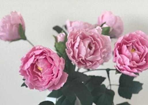 菏泽，向全世界发出邀请！