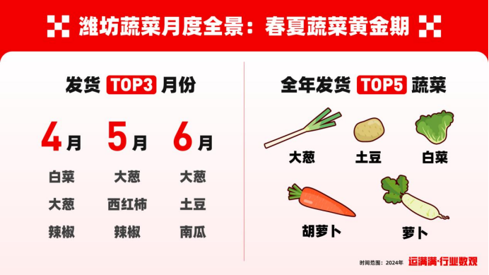 潍坊蔬菜收货量哪个省最大？来寿光菜博会现场，洞察蔬菜生意经