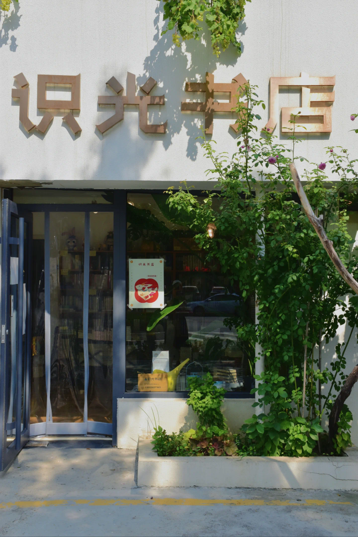 跟着文旅大会游山东｜从老巷到海畔，开启文艺打卡之旅