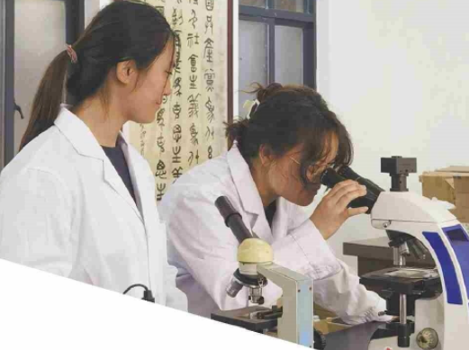 把实验室搬到田间 科技赋能甜蜜事业日