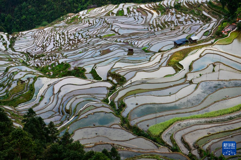 美丽中国丨加榜梯田：藏在深山里的诗行
