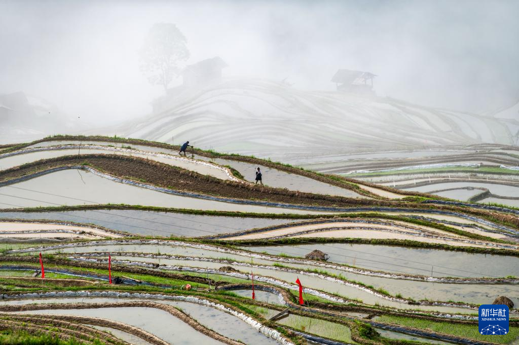 美丽中国丨加榜梯田：藏在深山里的诗行
