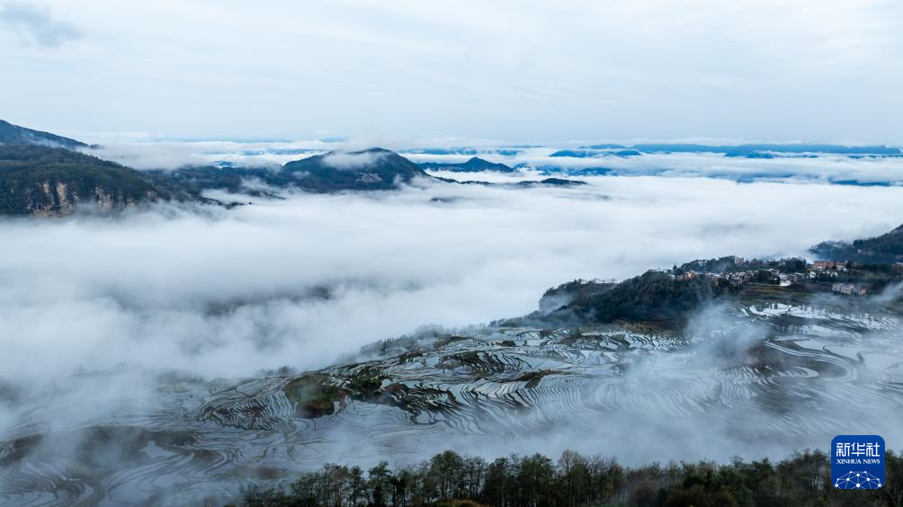智绘中国·世遗镜鉴｜红河哈尼梯田续写农耕文明新传奇