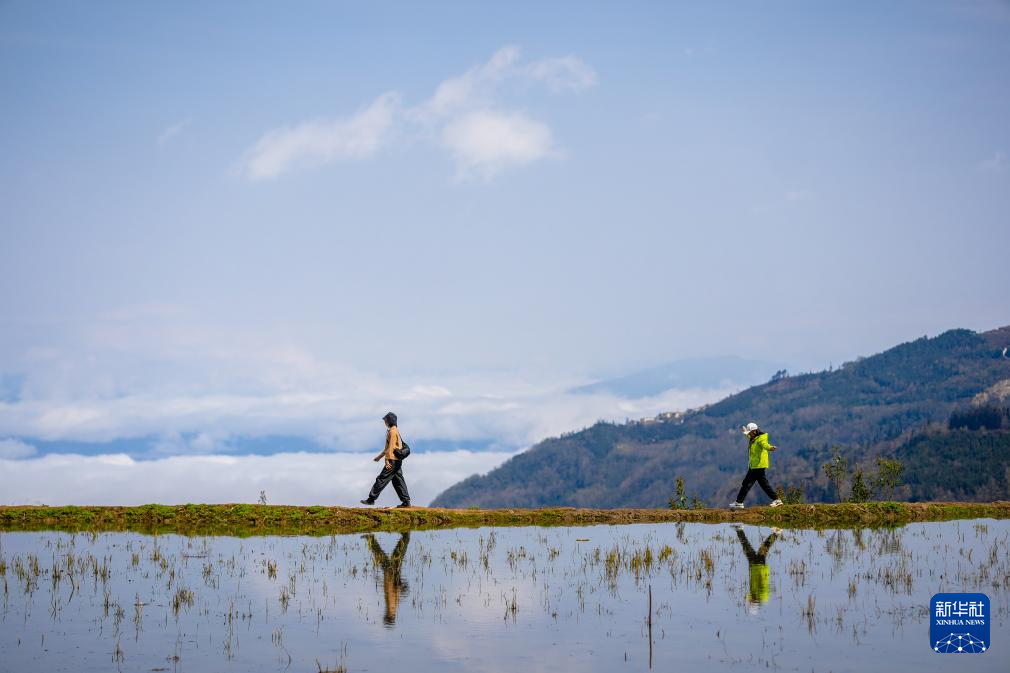 智绘中国·世遗镜鉴｜红河哈尼梯田续写农耕文明新传奇