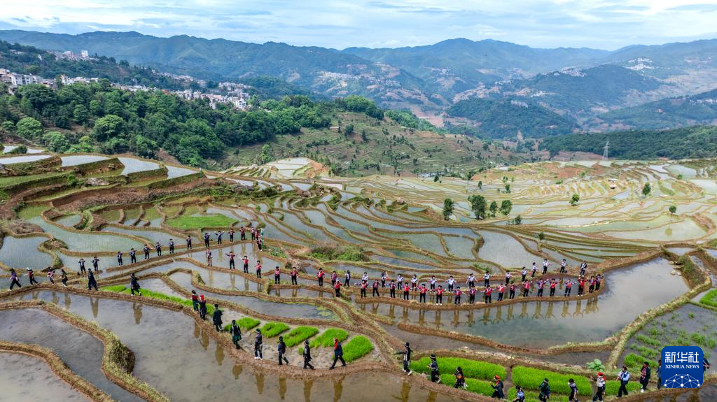 智绘中国·世遗镜鉴｜红河哈尼梯田续写农耕文明新传奇