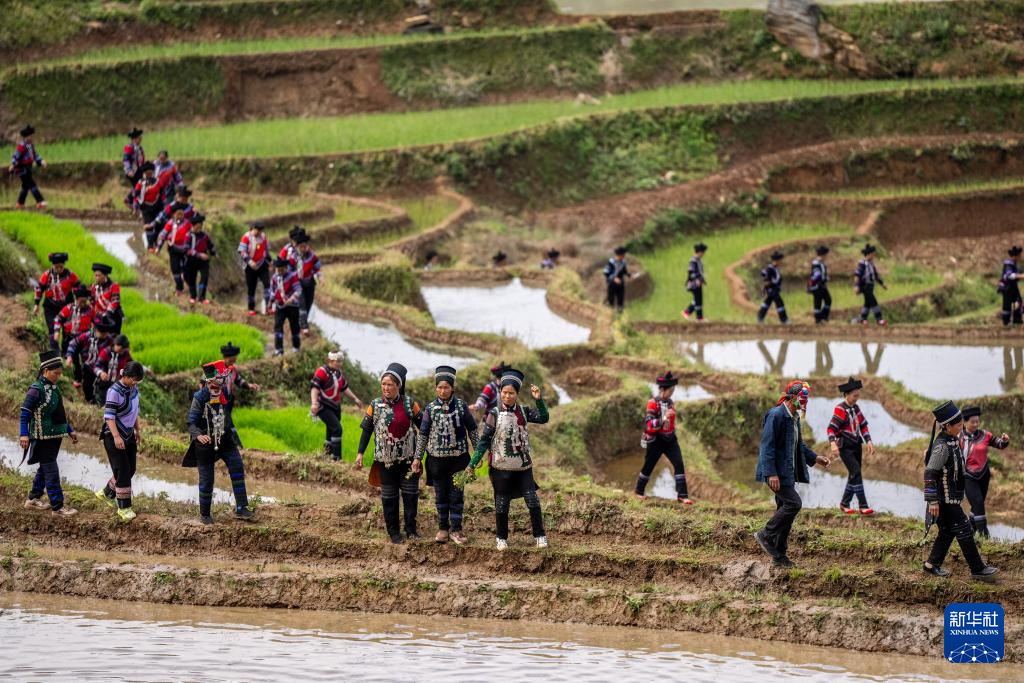 智绘中国·世遗镜鉴｜红河哈尼梯田续写农耕文明新传奇