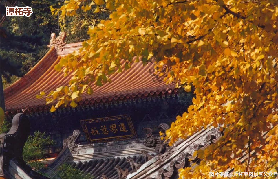 一图读懂丨北京国际交往中心规划实施指引