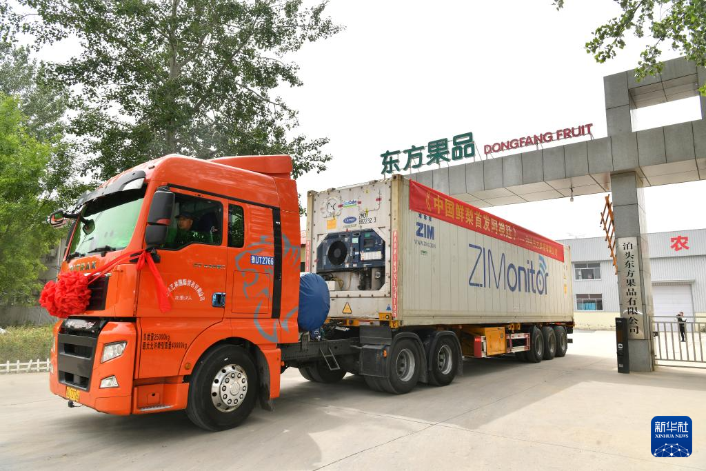 河北鲜梨出口阿根廷