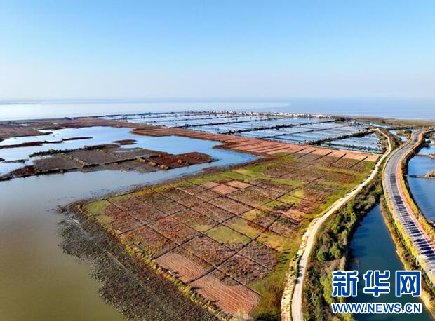 湖北荆州“山水工程”临近收尾 “长江之肾”获一体化保护和修复