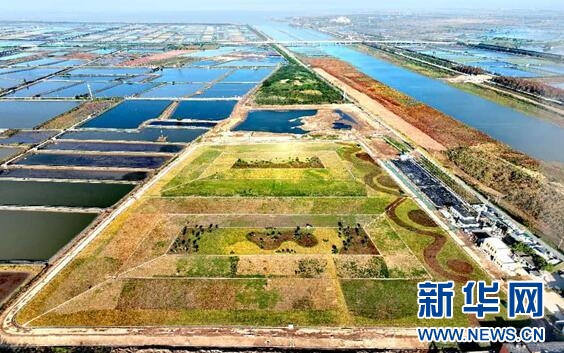 湖北荆州“山水工程”临近收尾 “长江之肾”获一体化保护和修复