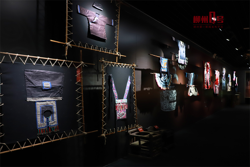 广西唯一入围！柳州市博物馆这个展览获优胜奖！你去看过吗？