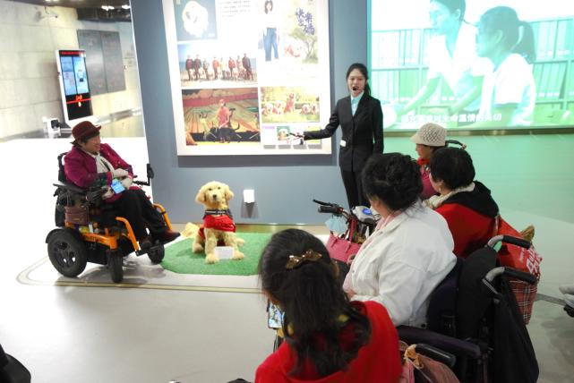 北京市规划展览馆获评“全国残疾人工作先进集体”