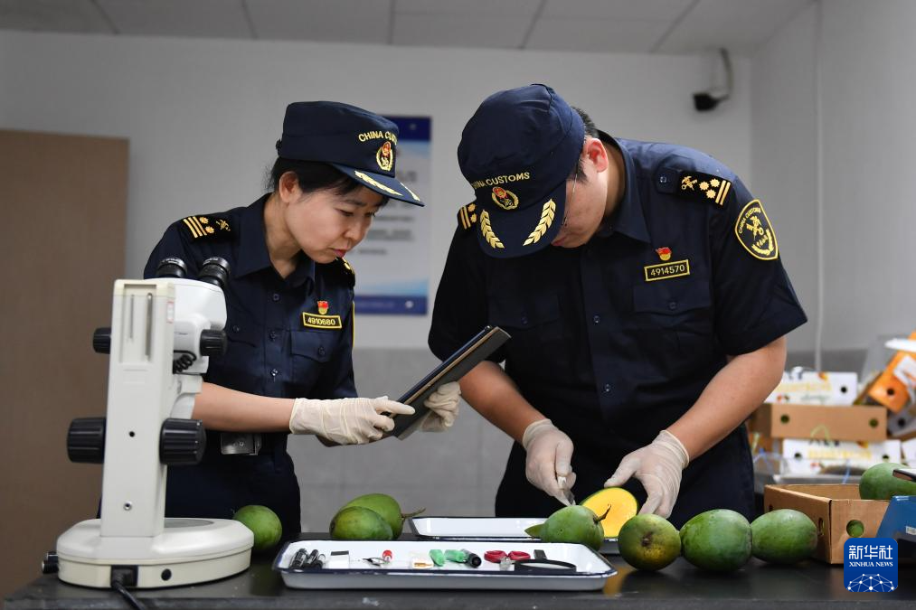 孟加拉国芒果首次进入中国市场
