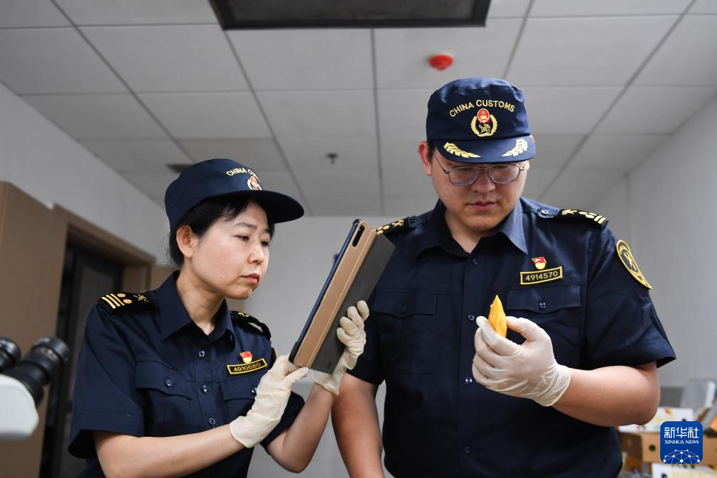 孟加拉国芒果首次进入中国市场