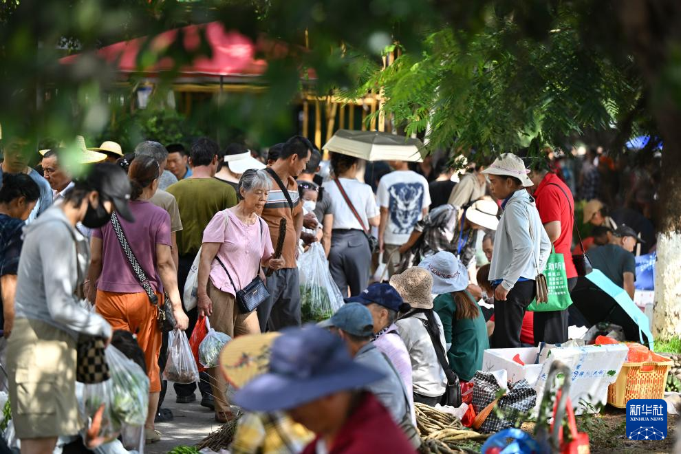 海南：山城好物 消费助农