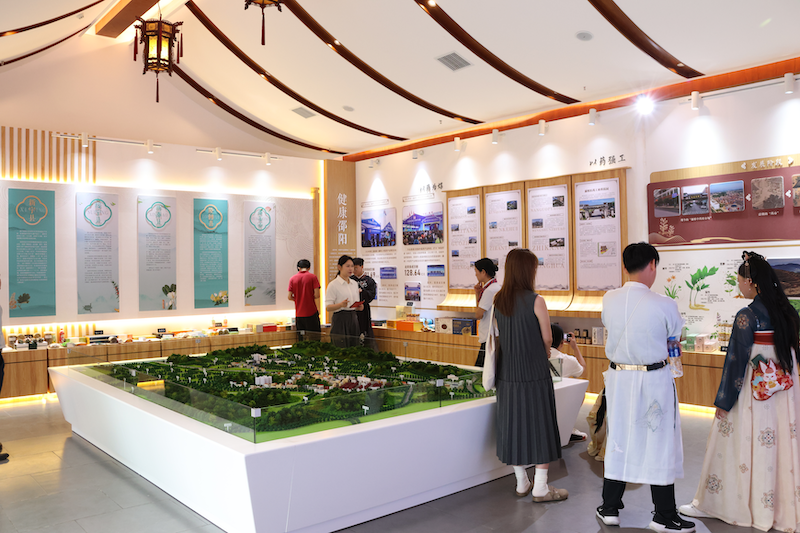 邵阳（廉桥）中医药产业“南国药都”展馆亮相长沙