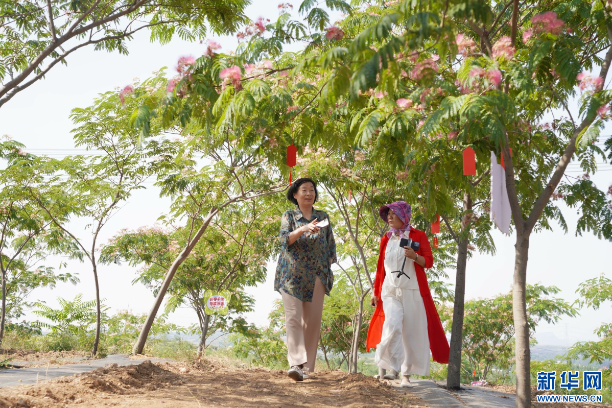 河北内丘：绒花盛开 “粉色浪漫”促增收