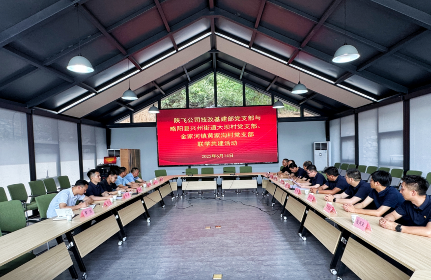助力乡村全面振兴与国防科技工业深度融合！陕飞党支部赴略阳开展联学共建→