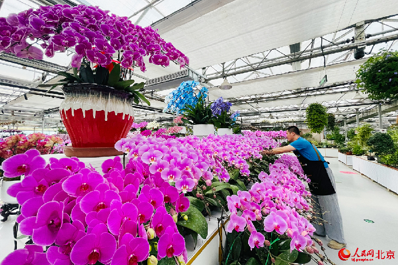 北京这个“四季有花”的地方，你来过吗？