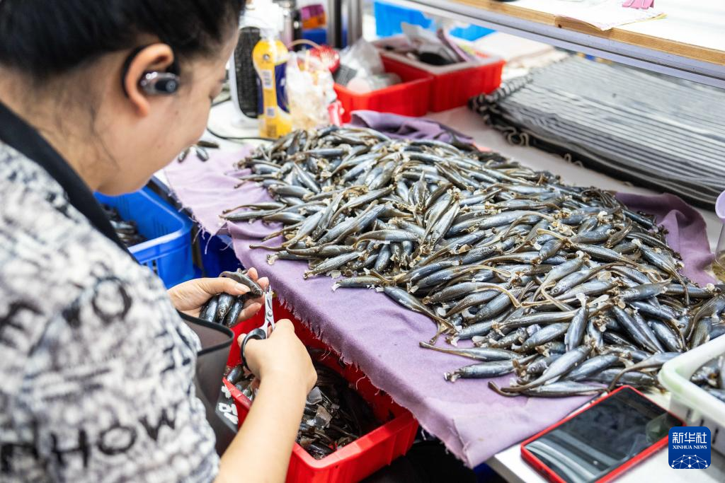 湖南临湘：小浮标“钓”出大产业
