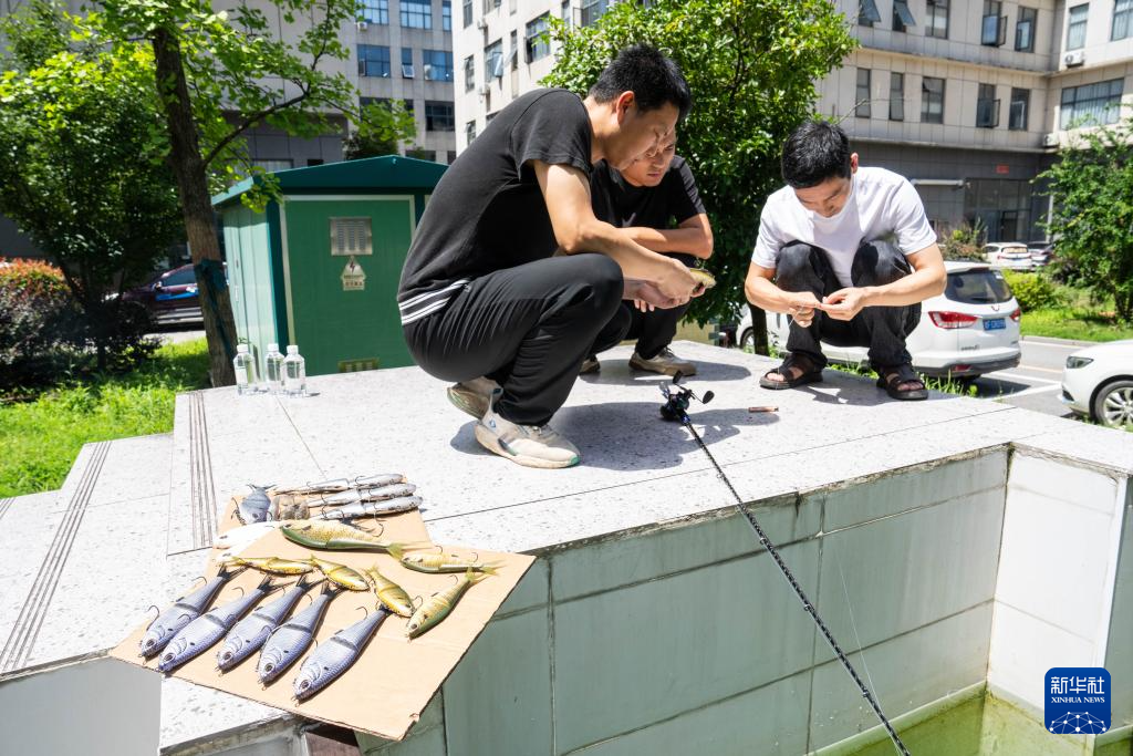 湖南临湘：小浮标“钓”出大产业
